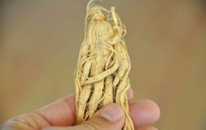penis büyütme için şifalı bitkiler